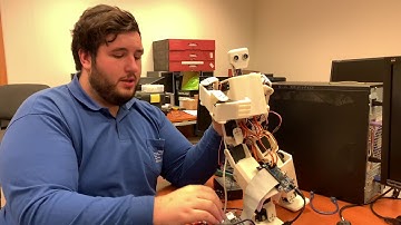 Innovate FPGA. EM029 Anthropomorphic robot