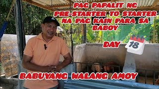 BABUYANG WALANG AMOY | DAY 18 ✅ PAG PAPALIT NG PRESTARTER TO STARTER NA PAG KAIN PARA SA BABOY