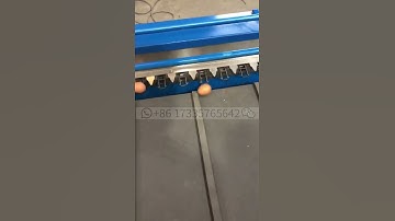 Best sale Egg Grading Sorting Machine Egg Size Grader Egg Grading machine With Competitive Price