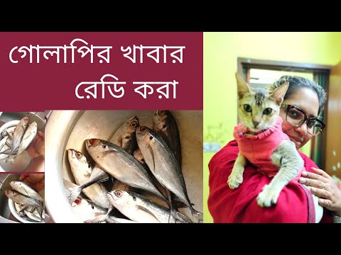 আমার বিড়াল এর জন্য কিভাবে খাবার তৈরি করি🐈🐈🐱🐱 পার্ট-২।।।how to make my pet cat food