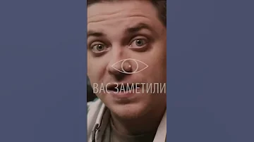 Как выглядит череп совы?