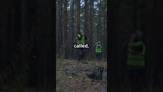 The Disappearance of Jodi Huisentruit, 25 Years Later