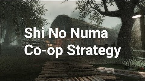 Shi No Numa Best Co-op Strategy