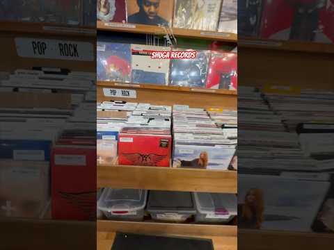 Get Some Vinyl In Your Life At Shuga Records