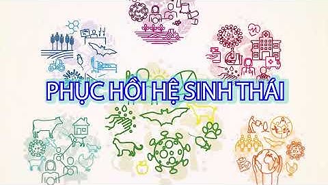 Trailer tuyen truyen Ngay MTTG 2021