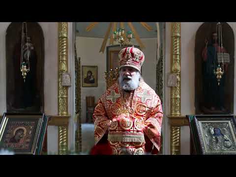 видео: Проповедь епископа Питирима (Творогова) в день памяти иконы Божией Матери "Живоносный Источник"
