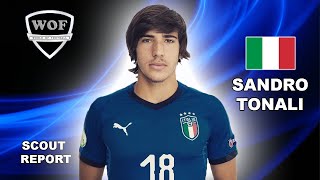 SANDRO TONALI | Crazy Goals, Skills, Assists | Brescia 2018/2019 (HD)