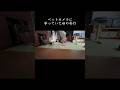 【猫ドン引き】ペットカメラに写っていた母の奇行 / Mother's odd behavior caught on pet camera #TikTokでバズった動画　#留守番カメラ #母の奇行