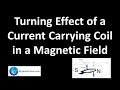Understanding the Turning Effect of a Current-Carrying Coil in a Magnetic Field