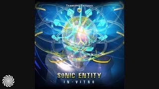 Sonic Entity - In-Vitro