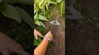 Small Practical Tool satisfying gardening