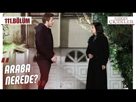 Ali arabanın peşinde! - Kırgın Çiçekler 111.Bölüm