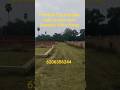 Position liya hua plot sale in patna// 2600 sqft plot sale in bela// #plotinpatna