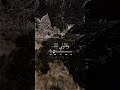 يا ليلا ويا ليلي يا ليلا ويا ليلي