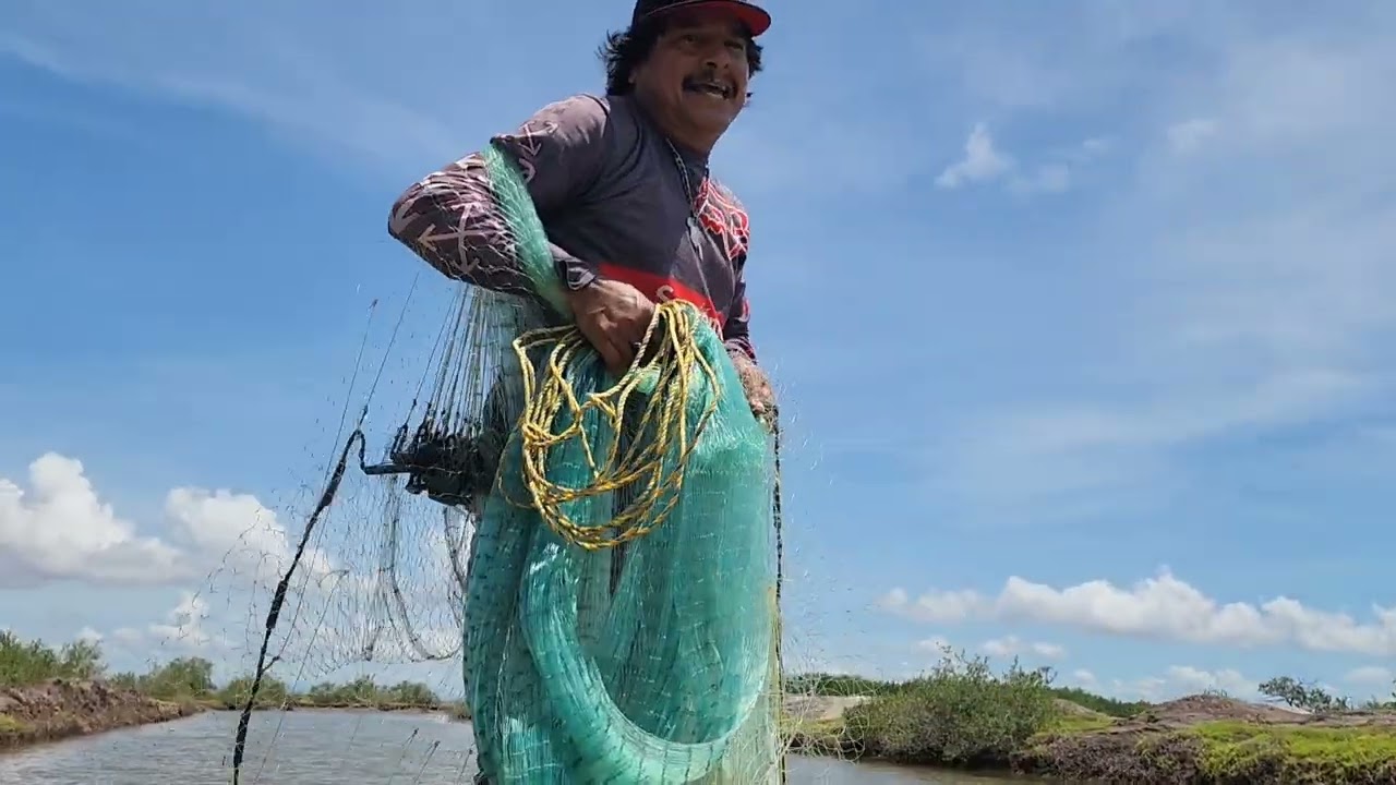 @ElGatoParadoOficial Buena lluvia, Buena pesca y Buena comida