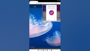 Notifications - user manually disable notifications (Rewards & Privacy Verification Tablet)