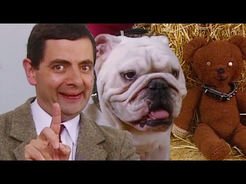 Dog Show | Funny Clips | Mr Bean Official