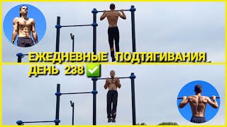 Подтягивания каждый день | День 238