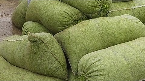 Túi lưới dây rút đựng bèo, đựng cá, ếch, rắn... siêu bền. LH : 0392.892.349