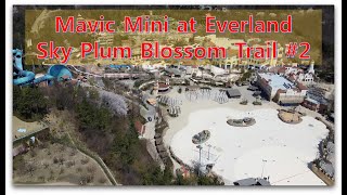 Mavic Mini Everland Sky Plum Blossom Trail #2