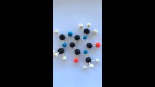 Caffeine: A Quick Understanding