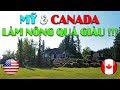 Làm Nông Nghiệp ở MỸ & CANADA giàu cỡ nào | Thăm khu nhà giàu Ở CANADA | Quang Lê TV #56