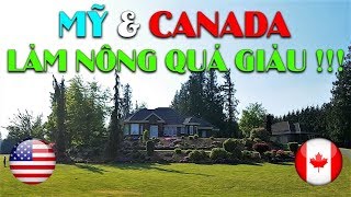 Làm Nông Nghiệp ở MỸ & CANADA giàu cỡ nào | Thăm khu nhà giàu Ở CANADA | Quang Lê TV #56