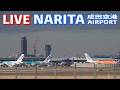 🔸LIVE📡 '26/3/4 成田空港 Narita International Airport plane spotting