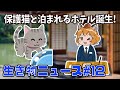 【ゆっくり解説】保護猫と泊まれるホテル誕生！母ハサミムシの最期は切ない・名古屋駅で○○の化石発見！【生き物ニュース#12】