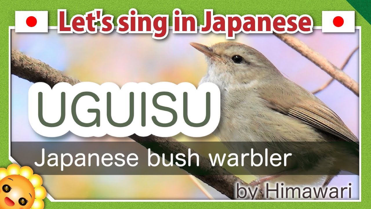 【Japanese bush warbler/うぐいす/Uguisu】Japanese folk songs in romaji　by Himawari