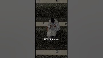 تلاوة هادئة للشيخ ماهر المعيقلي( لذين اذا ذكر الله وجلت قلوبهم وإذا تليت عليهم ايتنا زادتهم ايمانا)