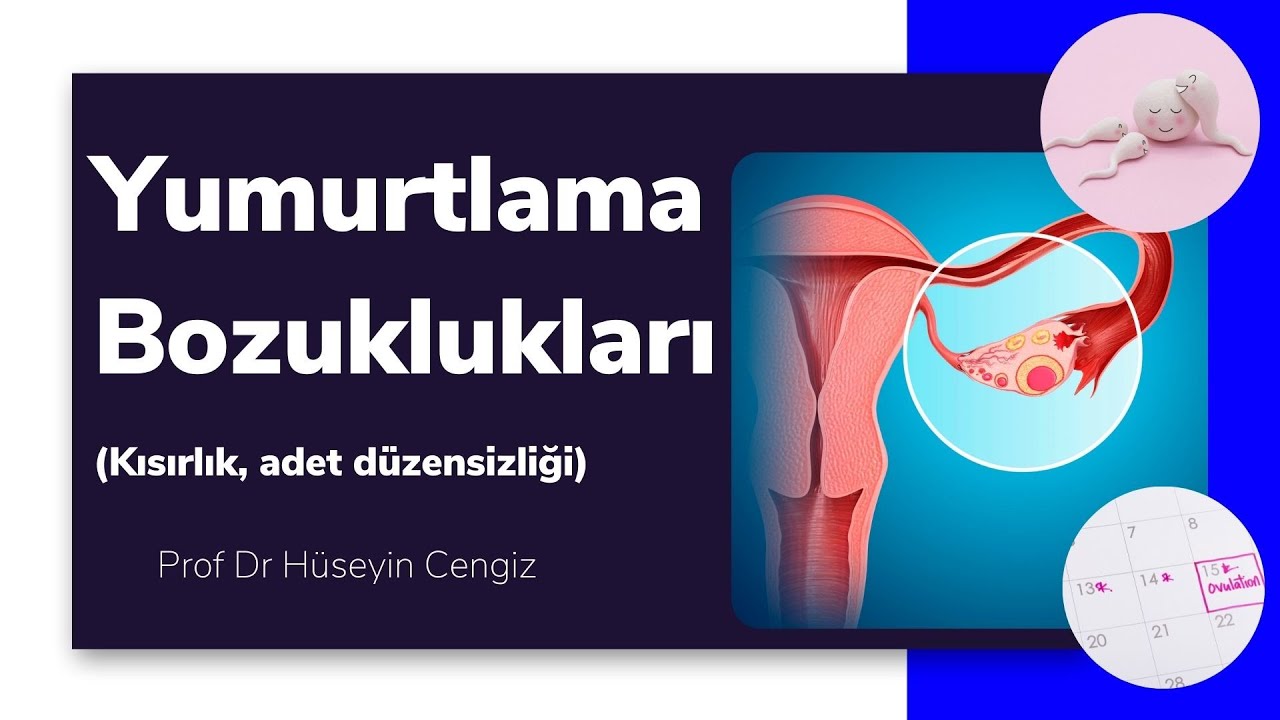 YUMURTLAMA BOZUKLUKLARI 🥚 (adet düzensizliği, kısırlık, aşırı adet kanaması)