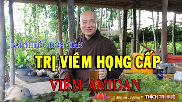 VIÊM AMIDAN, VIÊM HỌNG CẤP sẽ khỏi nhờ loại cây quen thuộc quanh nhà. Thầy Thích Trí Huệ