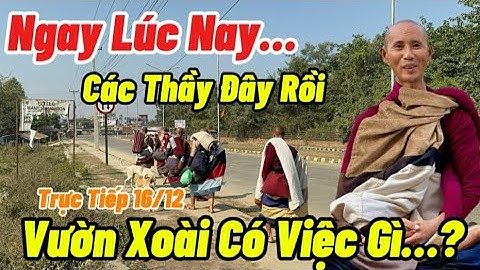 Trực Tiếp 16.12...Ngay Lúc Này Các Thầy Đây Rồi...Vườn Xoài Có Việc Gì...?