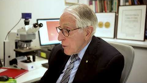 A Tribute to Professor Graeme Clark