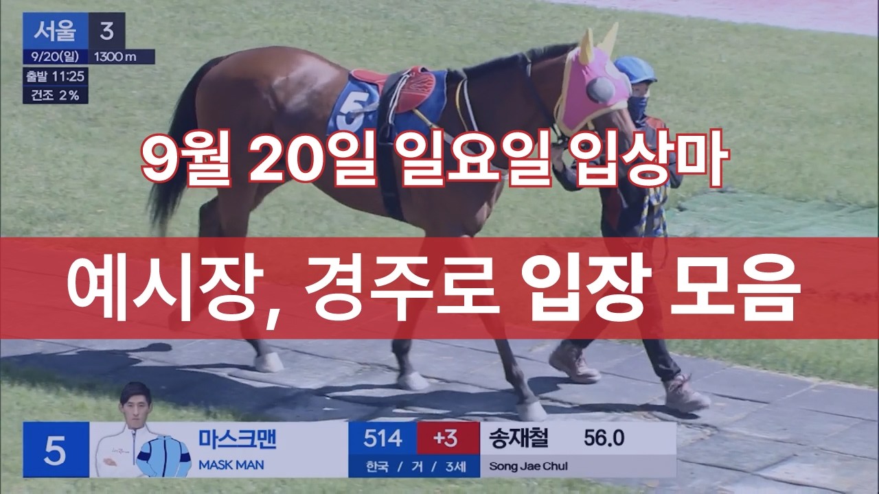 [9월 20일 일요일 입상마] 예시장, 경주로 입장 모음