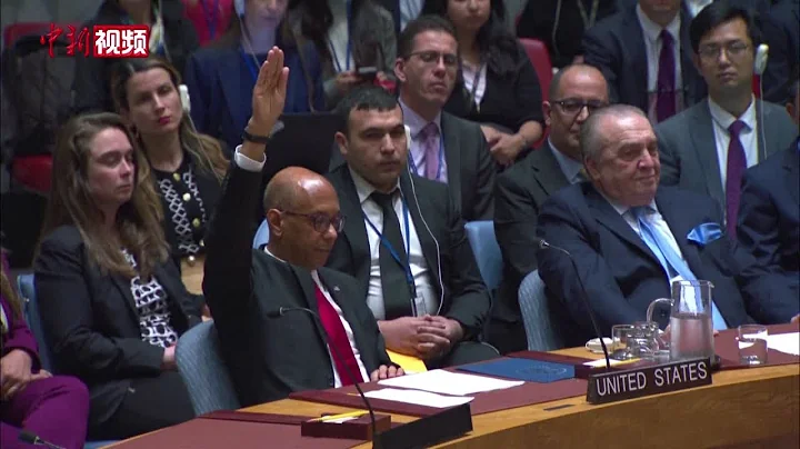 巴勒斯坦成为联合国正式会员国的申请在安理会遭美国否决 - 天天要闻