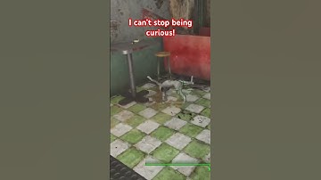 LEAVE ME ALONE!    #fallout #fallout4 #fallout4goty #falloutmeme