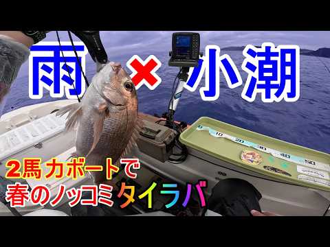 【春のノッコミタイラバ】雨×小潮の悪条件で挑む！結果はいかに！！？のサムネイル