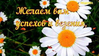 Лучшее Пожелание Прекрасному Человеку! На Все Праздники!