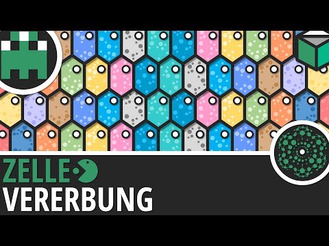 Video: Was ist eine Vererbungseinheit?