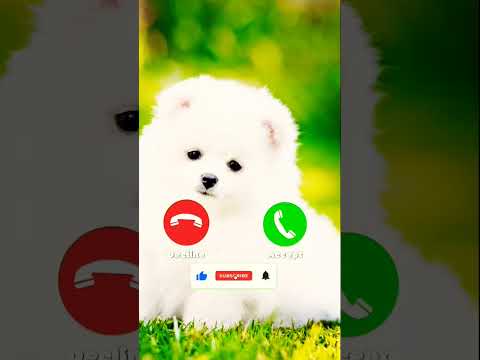 Abe Yar New Sms Ringtone Funny Ringtone Alarm Ringtone Call Ringtone Notification Ringtone 2021