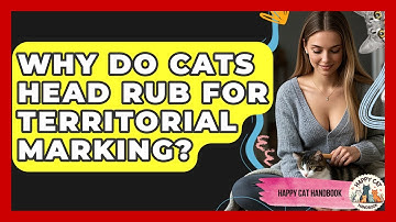 Why Do Cats Head Rub For Territorial Marking? - Happy Cat Handbook