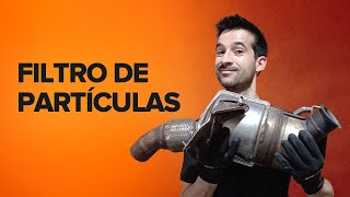 Substituir Tubo filtro de ar no Ford Focus mk2 Sedan - vídeo dicas gratuitas