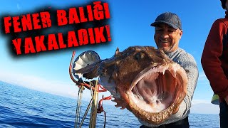 Vahşi̇ Fener Baliği, Güvertedeki̇ Baliği Yedi̇ Rei̇si̇n Fener İle İmti̇hani D