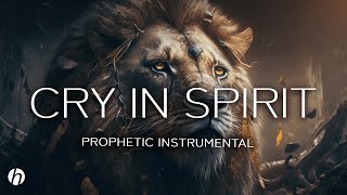 CRY IN SPIRIT\/ PROPHETIC WORSHIP INSTRUMENTAL \/ THEOPHILUS SUNDAY\/ MEDITATION MUSIC