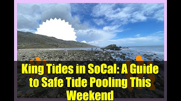 King Tides in SoCal: A Guide to Safe Tide Pooling This Weekend