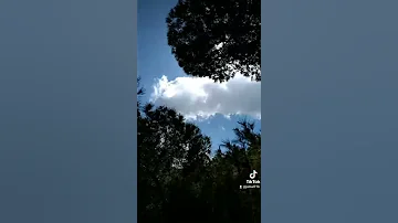 والسحاب يطاردك بين الشجر 