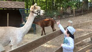 Bronx Zoo & Petting Zoo Farm