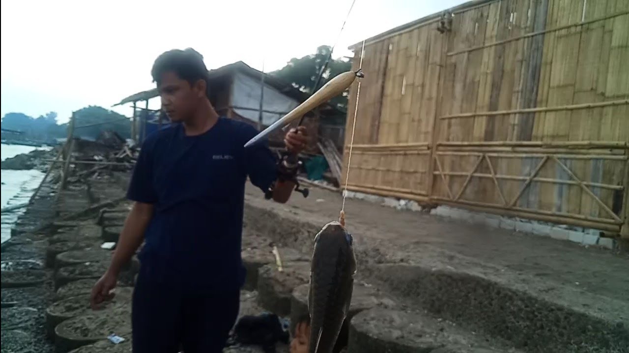 Cara Mancing Ikan Belanak Umpan Jitu